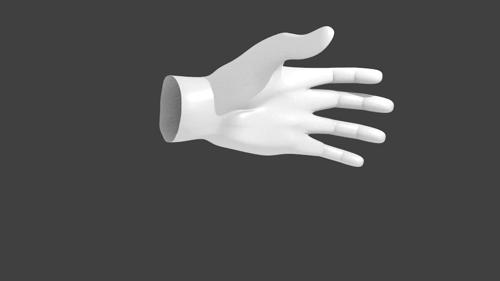 The hand  preview image